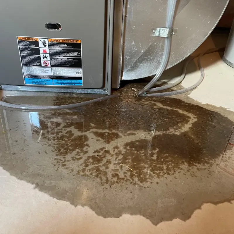 Appliance Leak Cleanup in Lucama, NC